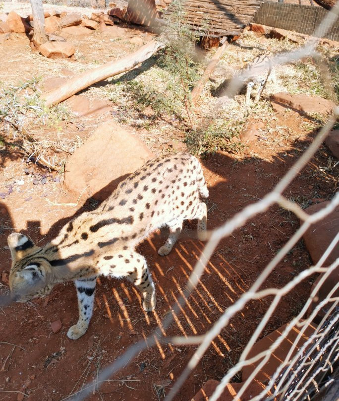Rustenzicht Lodge and Wedding Venue主图