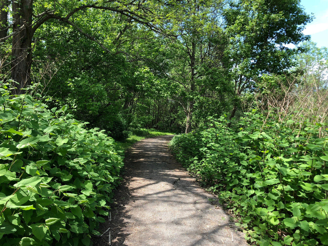 Thomas Creek Wetlands Walk-Fairport必去景点