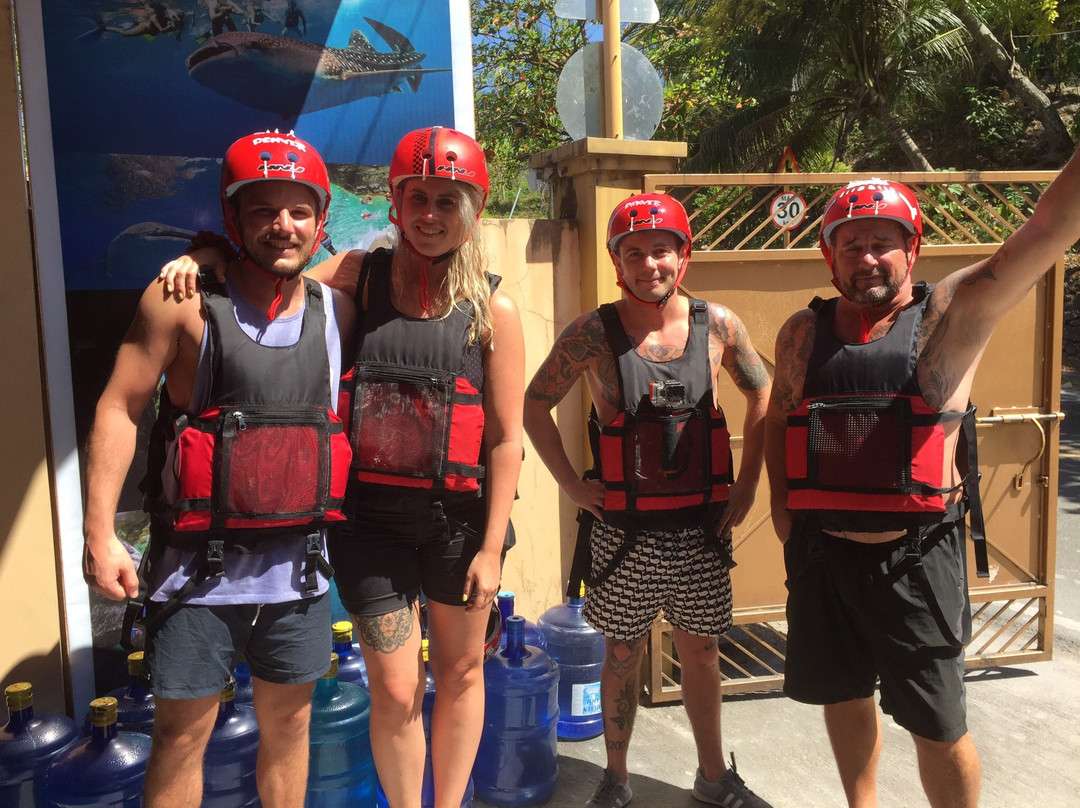 Whale Shark Alona & Oslob-邦劳岛必去景点