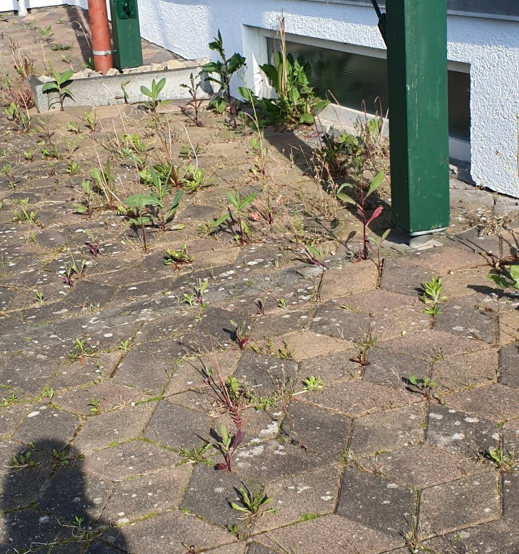 TerraVentura Hotel Resort Spa主图