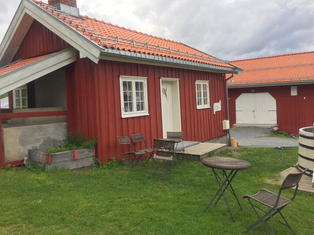 Portåsen - Wildenveys Rike-Mjondalen必去景点