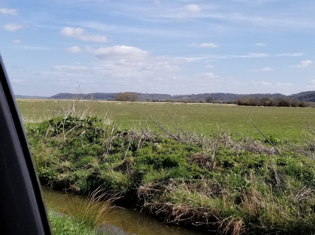 Somerset Levels and Moors景点图片