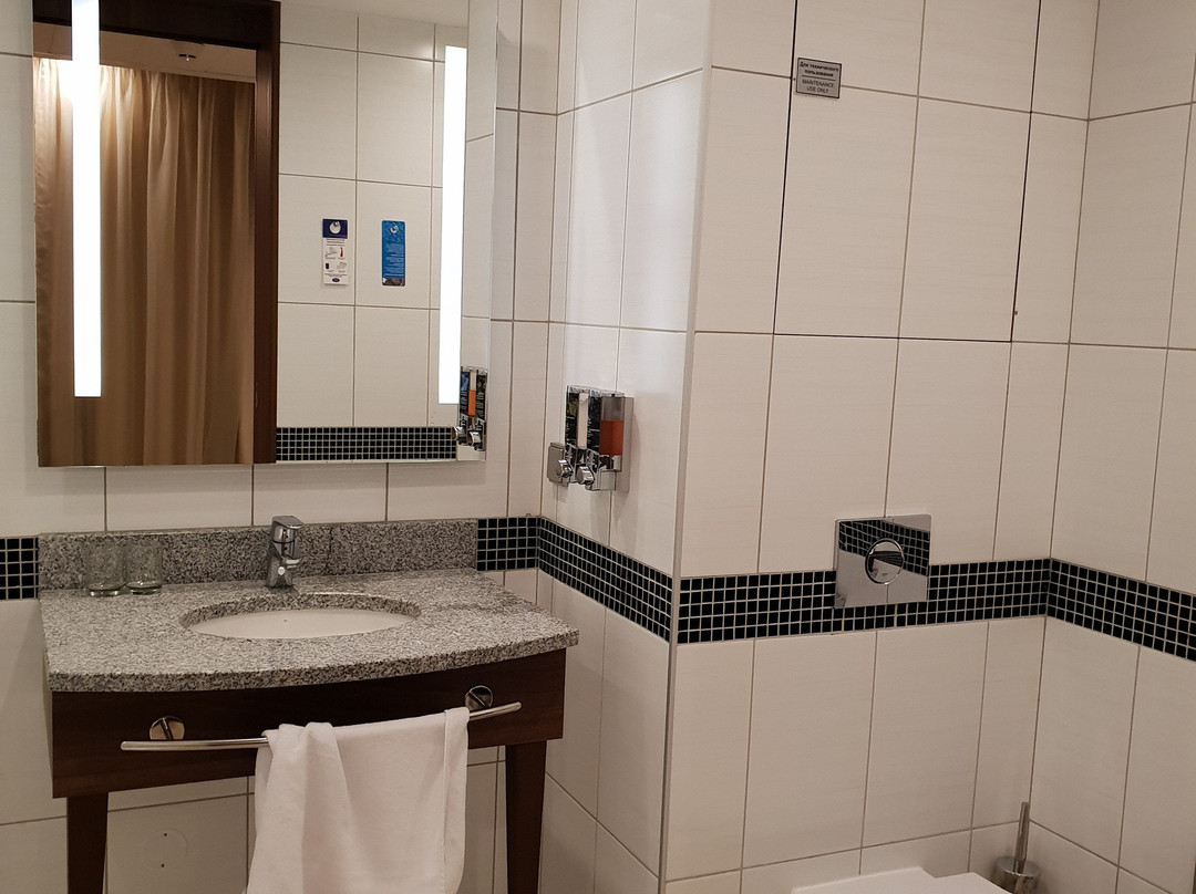 Hampton by Hilton Voronezh主图