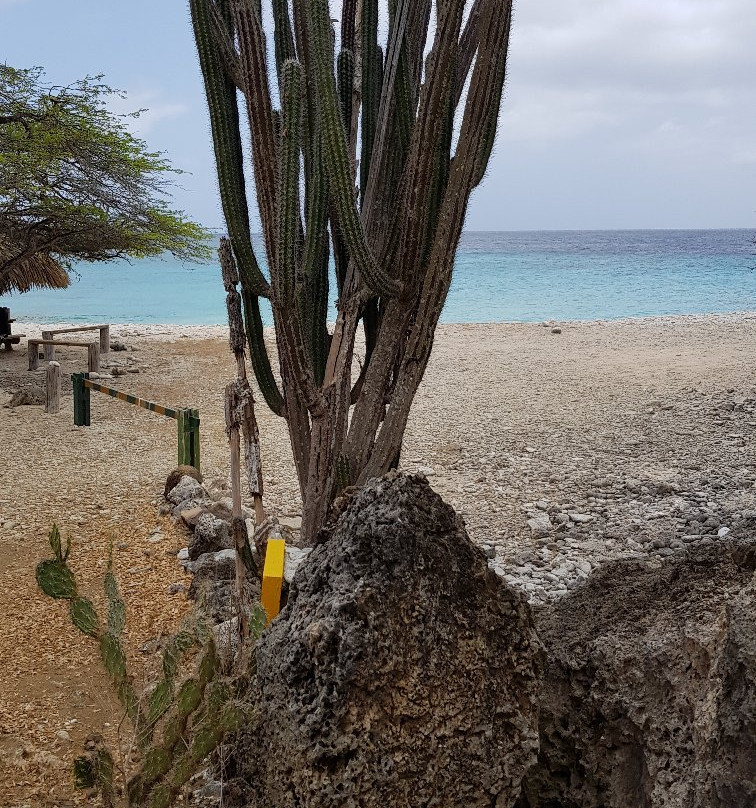 Bonaire National Marine Park景点图片