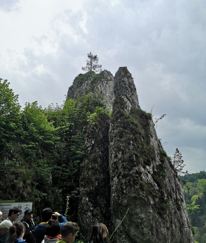 Jaskinia Ciemna (Dark Cave)景点图片