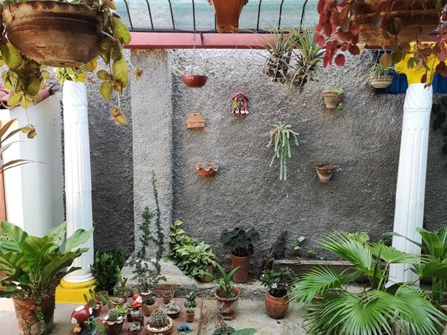 Casa Colonial Carmen主图