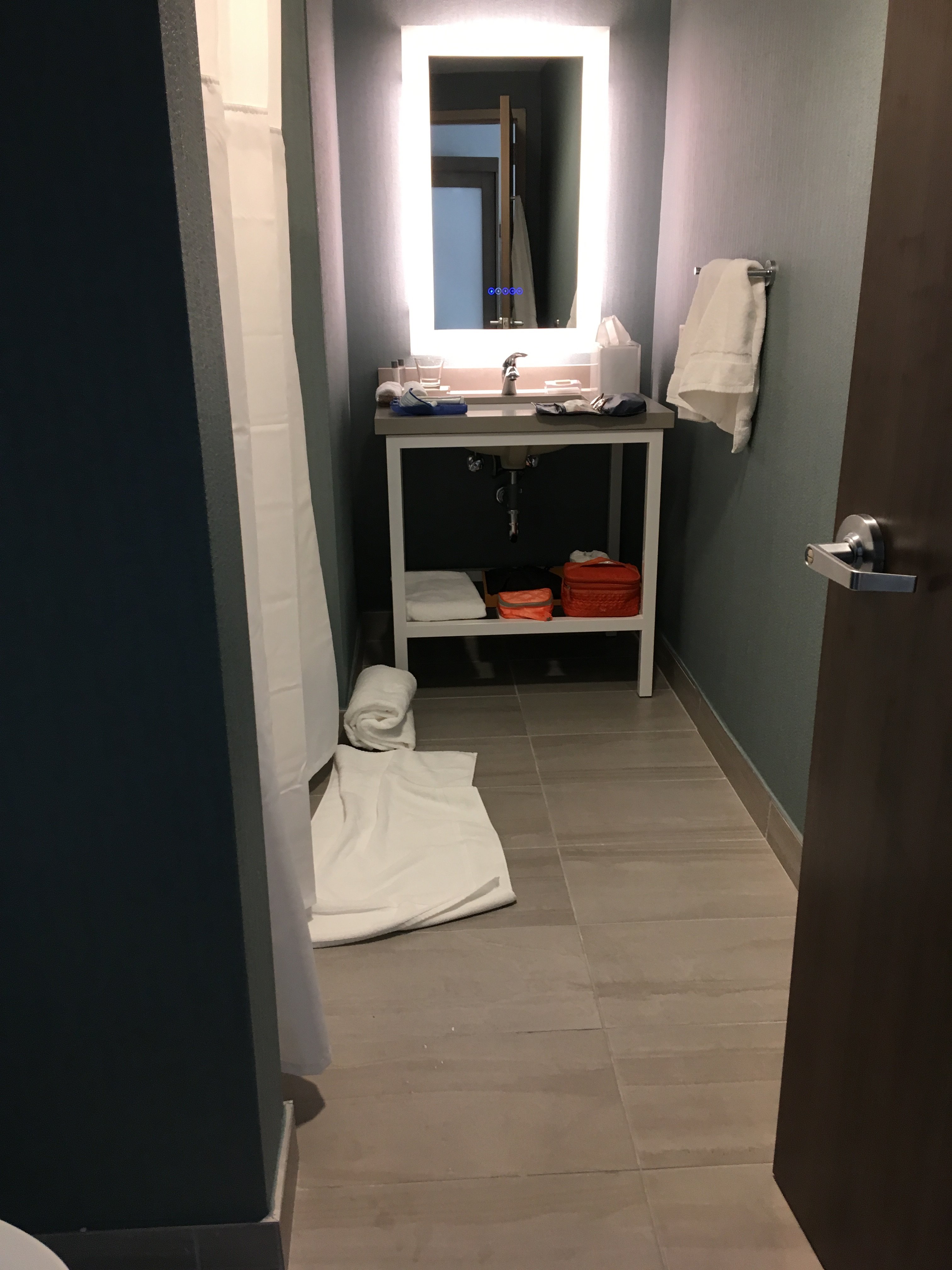 Cambria Hotel West Orange-浴室