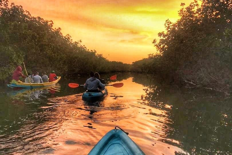 Gambia Kayaking景点图片
