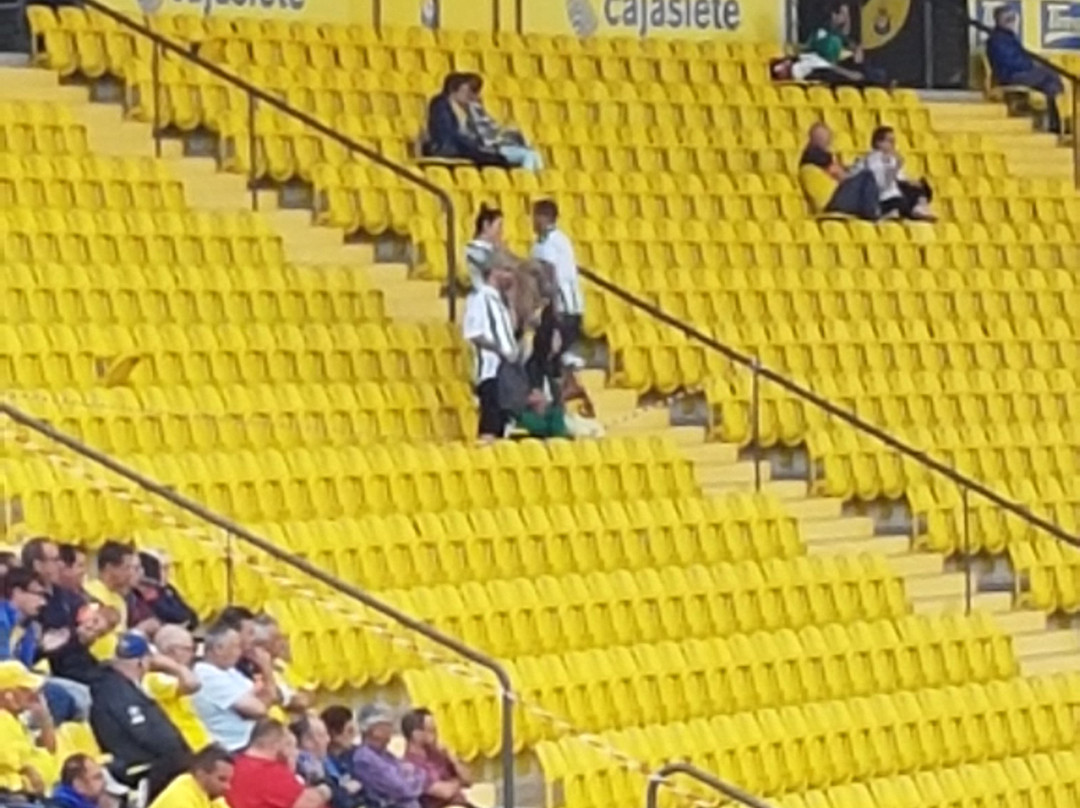 Anexo Estadio de Gran Canaria-大加那利岛拉斯帕尔马斯必去景点