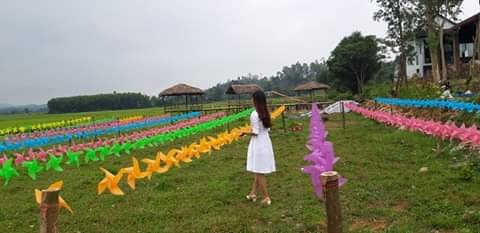 Phong Nha Palafita Bungalow主图