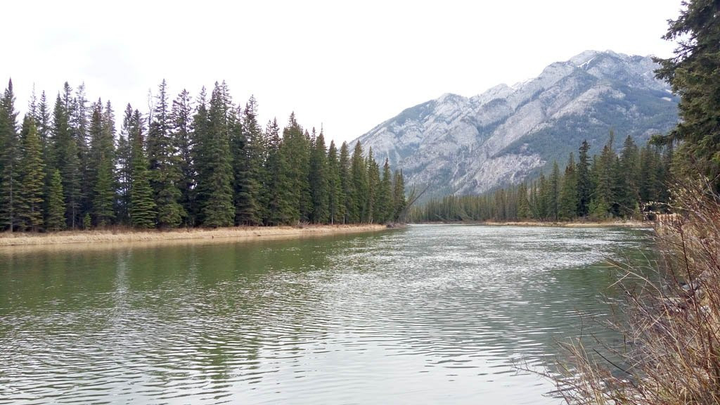 Bow River Trail-班夫必去景点