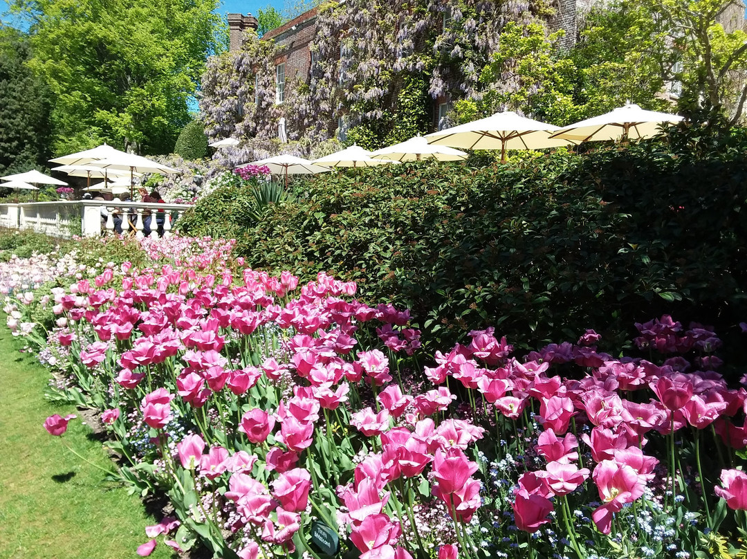 Pashley Manor Gardens景点图片