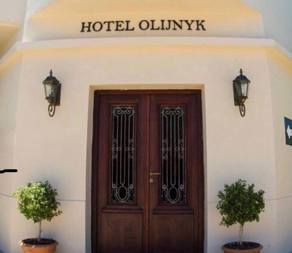 Hotel Oljinyk主图