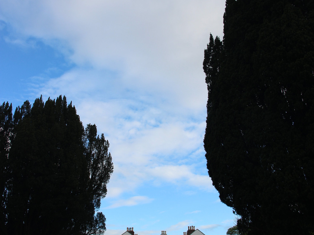 Cavens Country House (dinner Included)主图