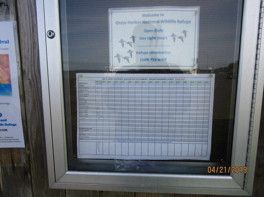 Grays Harbor National Wildlife Refuge景点图片