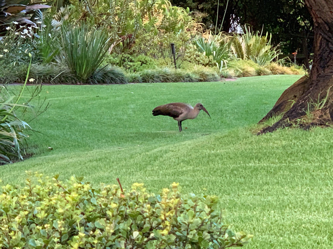 Robin's Nest Guest House主图