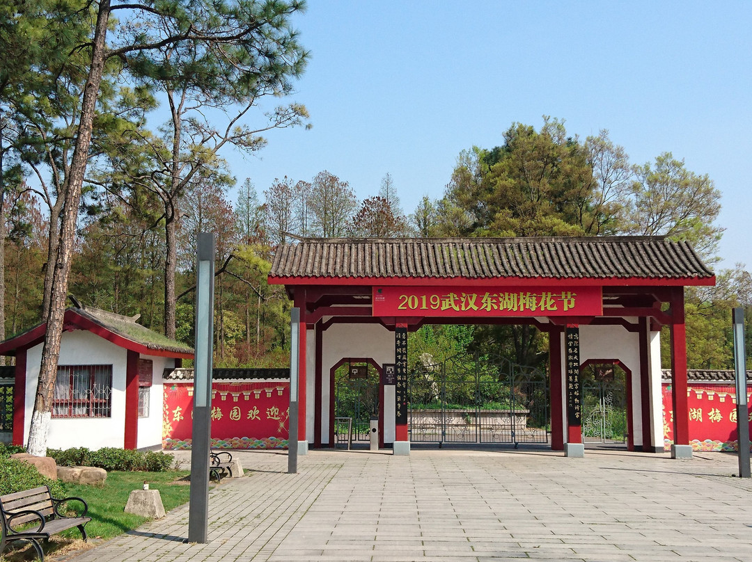 东湖梅园-武汉市必去景点