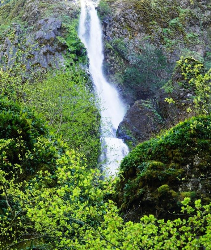 Starvation Creek Ridge Loop-Cascade Locks必去景点