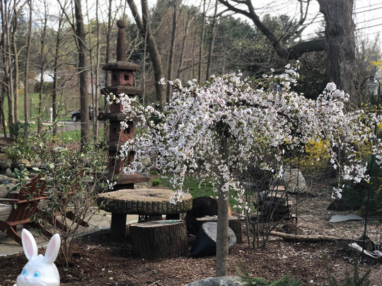 Pondering Creations Farm-Terryville必去景点