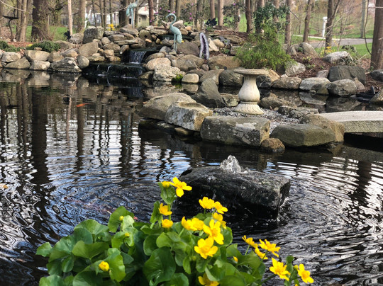 Pondering Creations Farm-Terryville必去景点