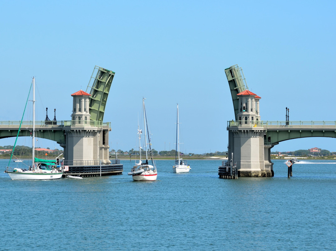 Fins Up Tours of St. Augustine景点图片