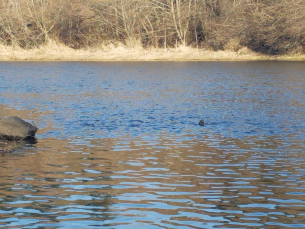Tumwater Historical Park-塔姆沃特必去景点