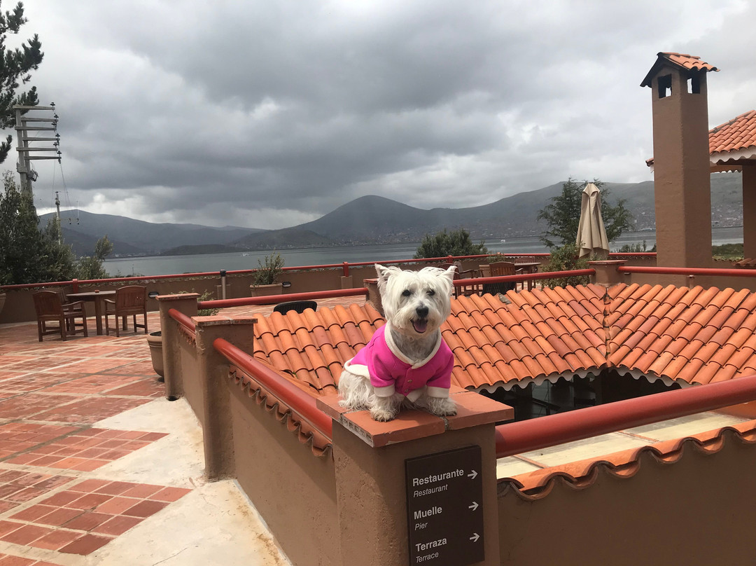 Casa Andina Premium Puno主图