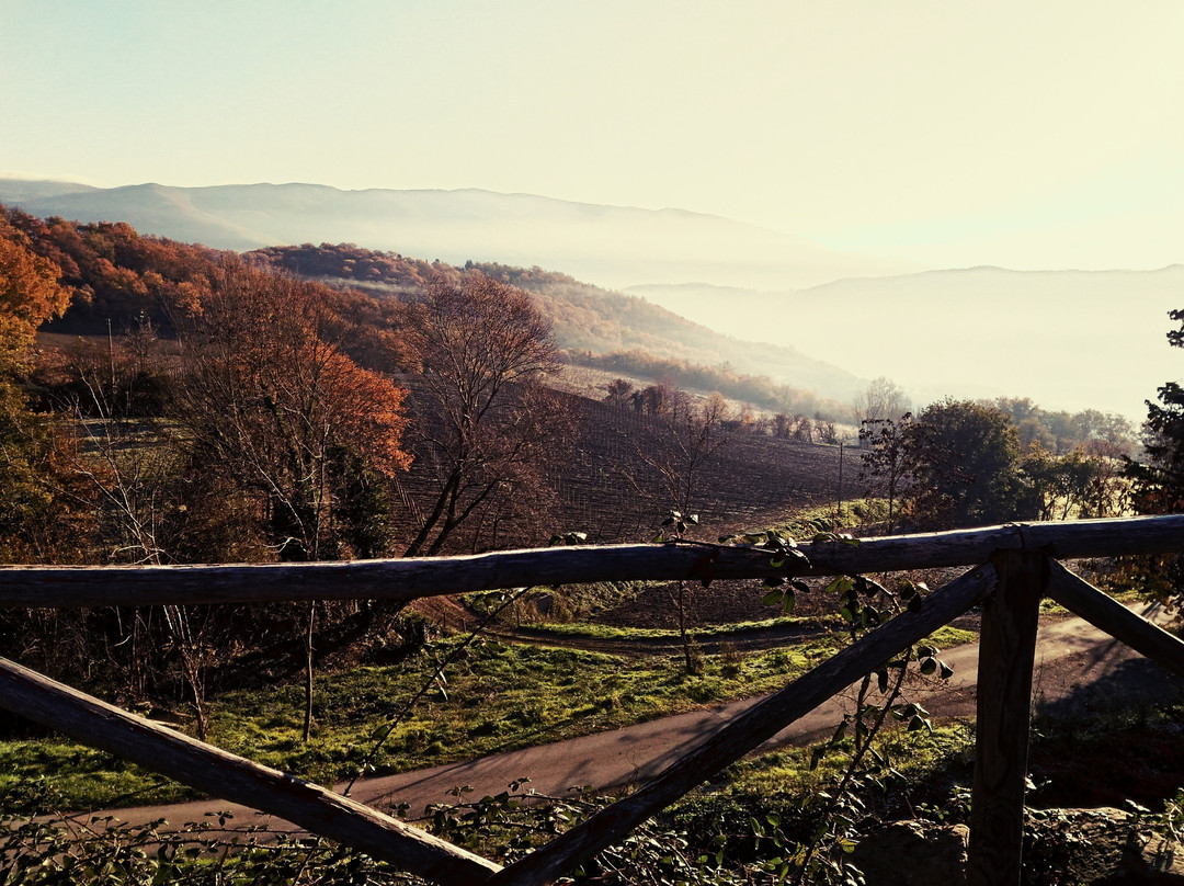 Ornina Winery景点图片