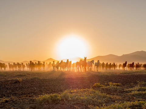 Turkey Photograph Tours-格雷梅必去景点