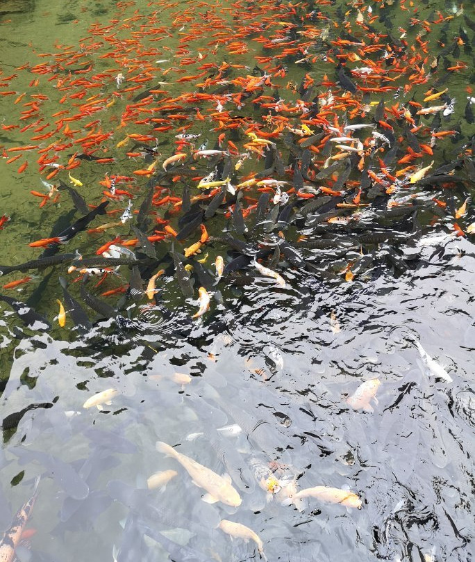 张家界仙人溪-张家界市必去景点