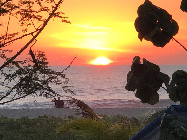 Punta Zicatela Hotel主图