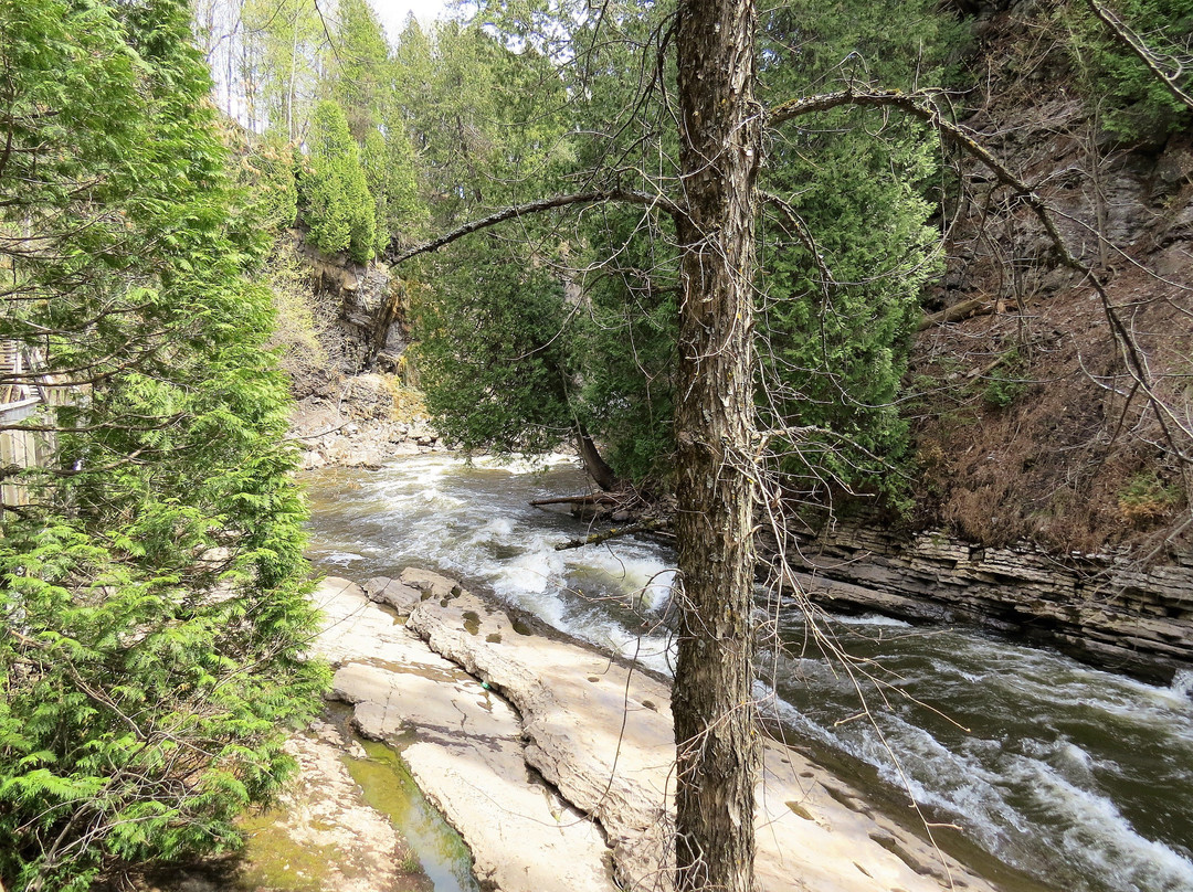 Site Géologique de la Gorge de la Rivière Saint-Charles-魁北克市必去景点