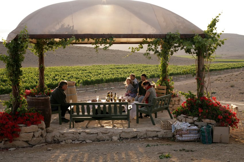 米茨佩拉蒙旅游景点-Nana Estate Winery