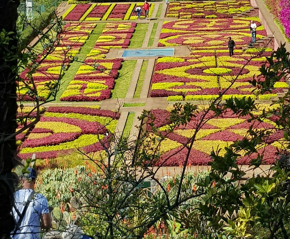 Madeira Botanical Garden景点图片