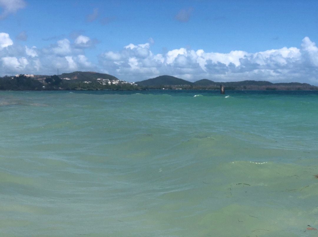 Reserva Natural Medio Mundo y Daguao-Ceiba必去景点