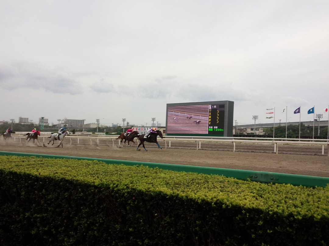 Funabashi Race Track-船桥市必去景点