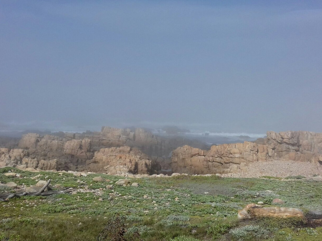 Buffels Bay Beach-Cape Point必去景点