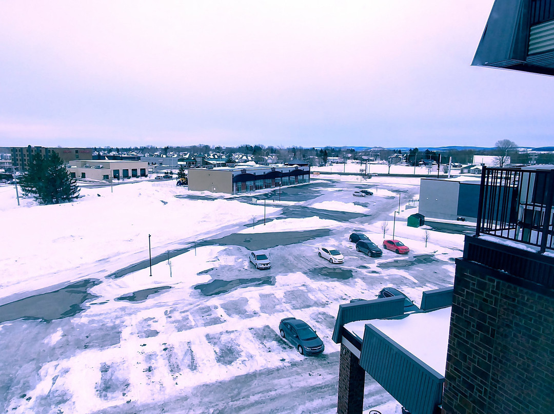 Quality Inn & Suites主图