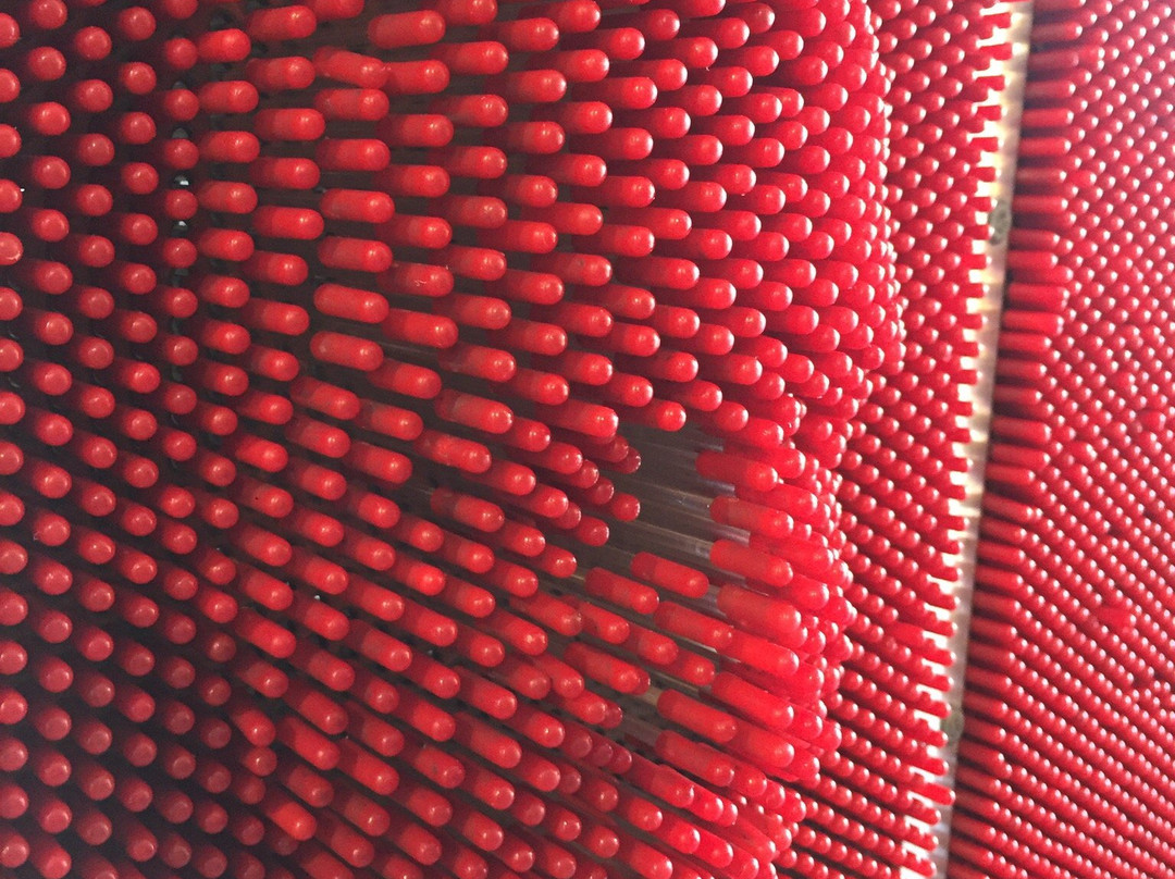 Children's Museum-安曼必去景点