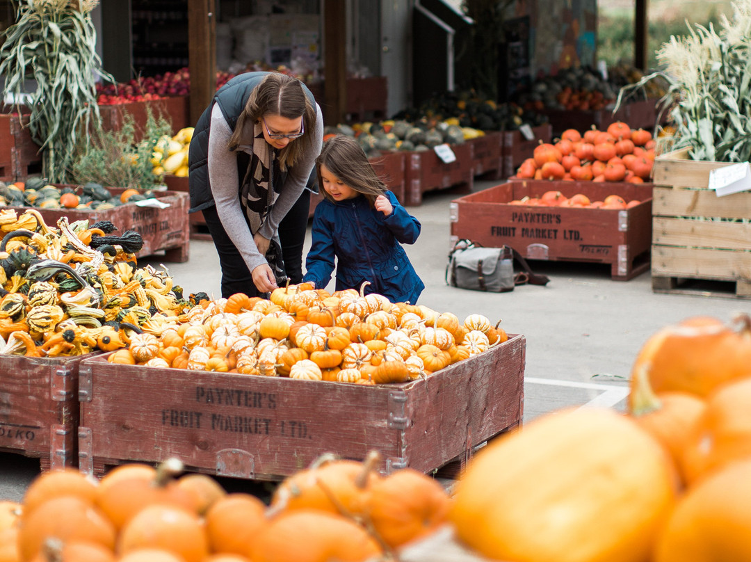 Paynter's Fruit Market景点图片
