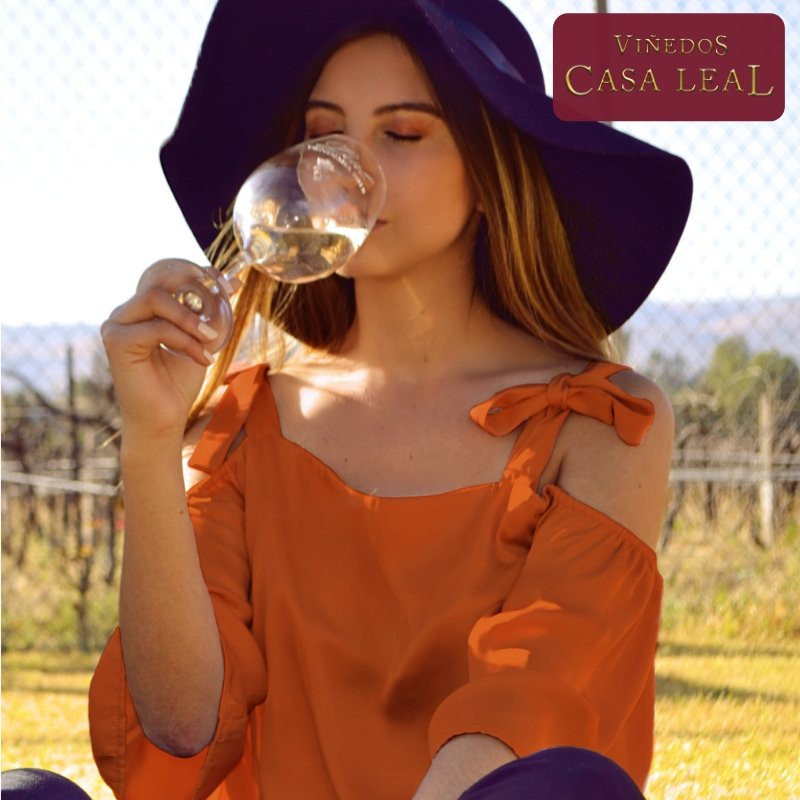 Vinedos Casa Leal-Jesus Maria必去景点