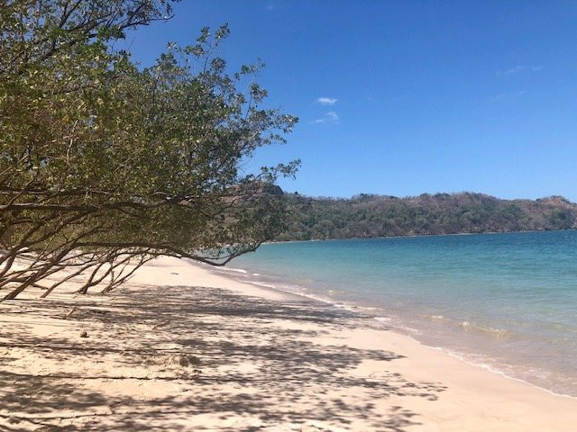 贡查尔酒店主图