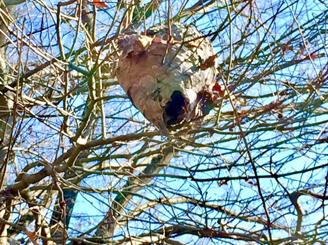 Mount Aventine Manor-Indian Head必去景点