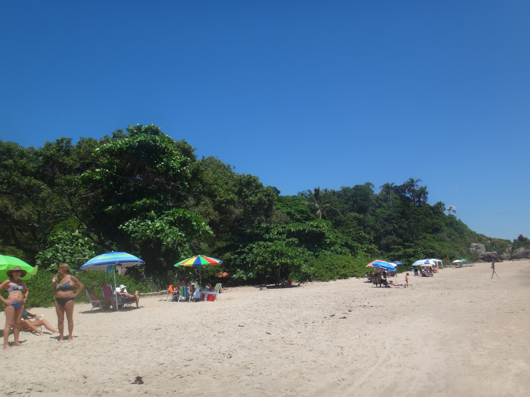 Praia Bacia Da Vovo景点图片