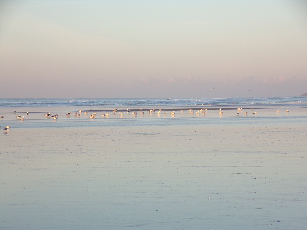 里贾纳酒店主图