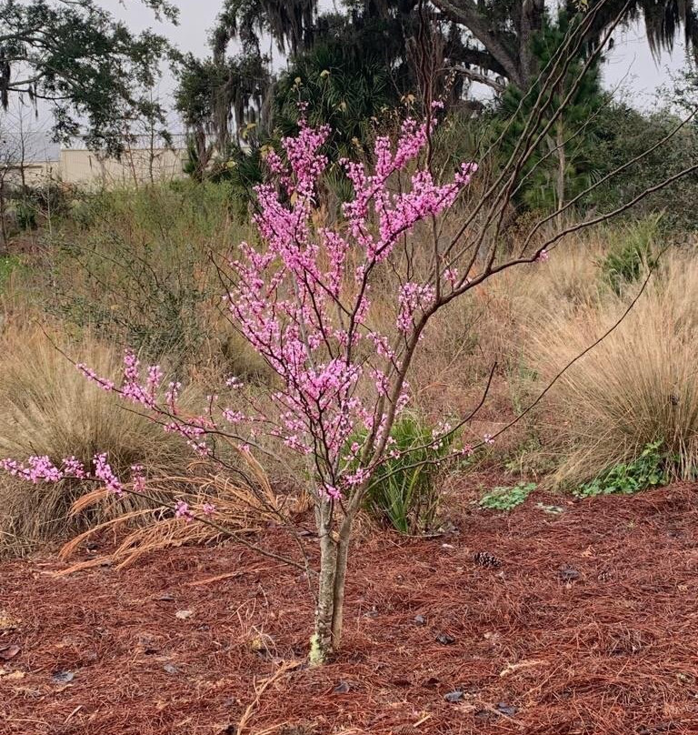 Gainesville-Hawthorne State Trail-盖恩斯维尔必去景点