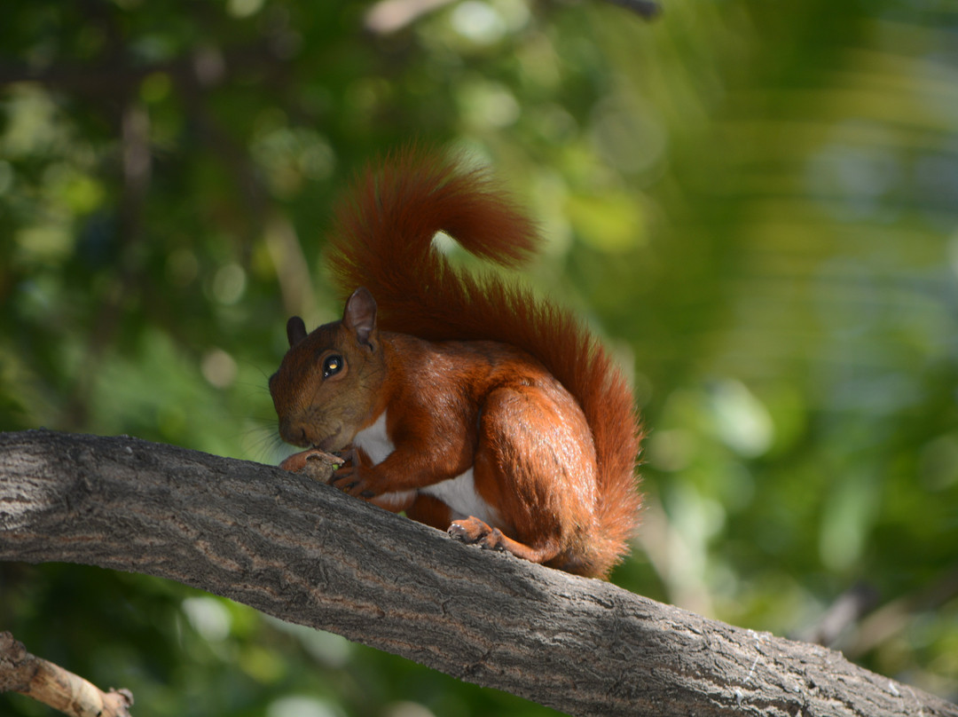 Tamaca Beach Resort Hotel主图