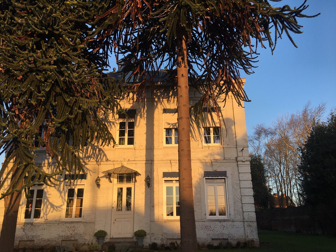 Domaine des Araucarias主图