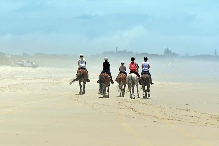 Tassiriki Ranch Beach Horse Riding & Holiday Cabins景点图片