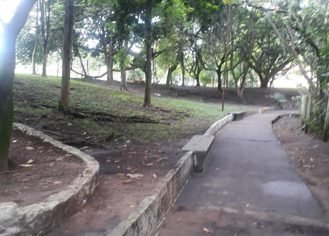 Horto Municipal Renato Correia Penna景点图片